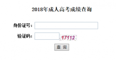 湖北工业大学成教本科成绩查询